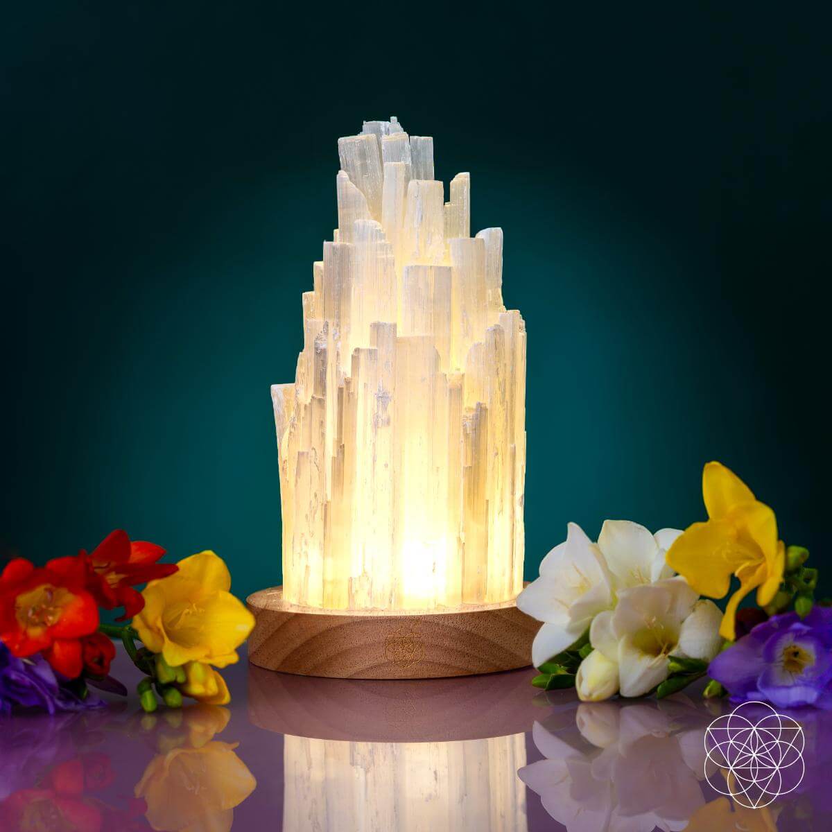 The Cleanse-All Selenite Lamp