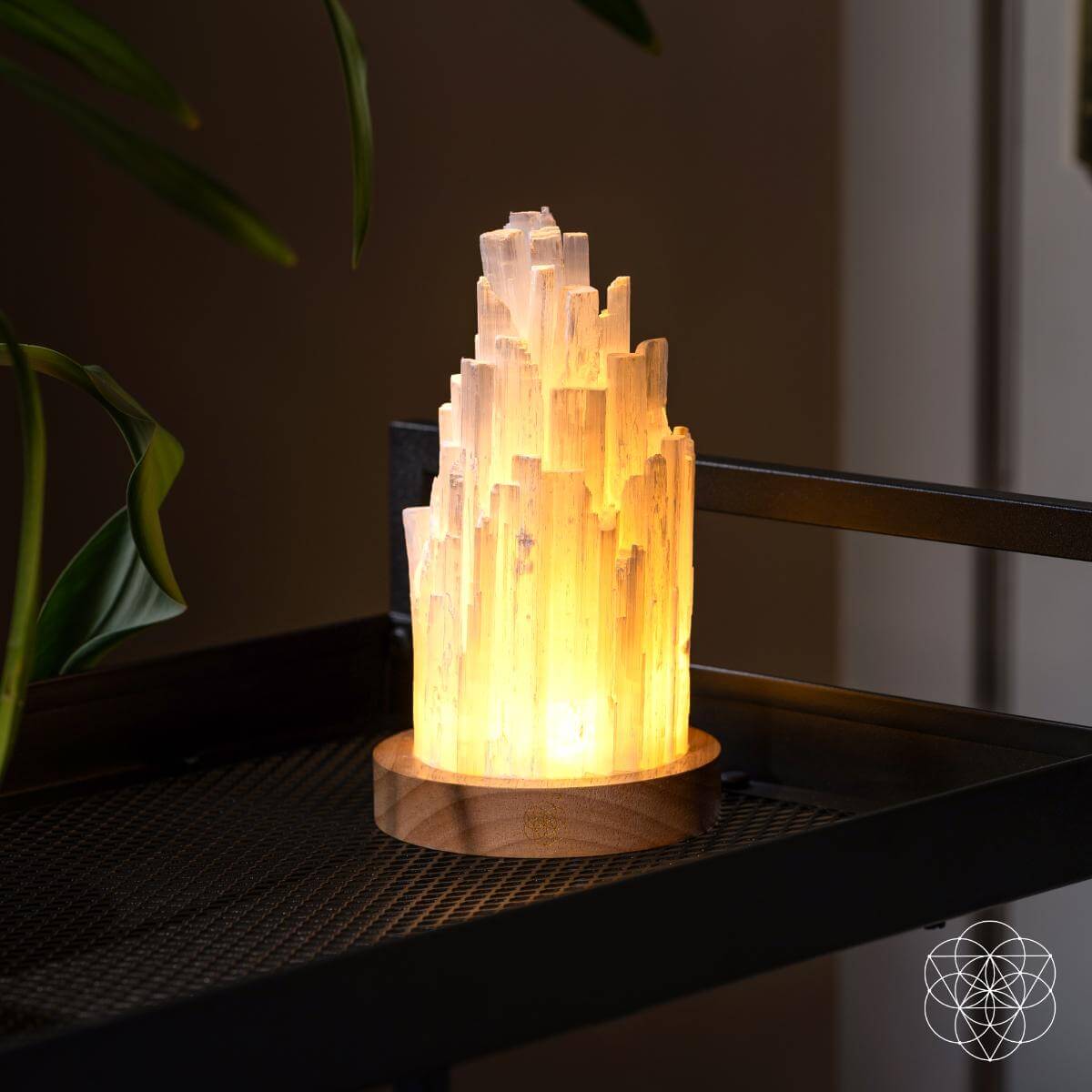 The Cleanse-All Selenite Lamp